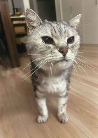 トム　[オス]　２２才