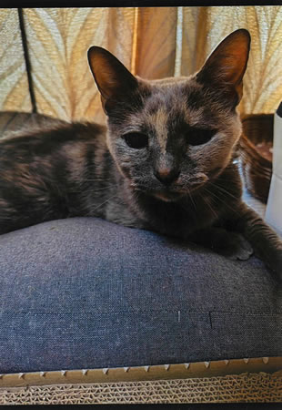 ベル　[メス]　２２才