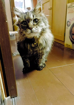 ジンジン　[オス]　２２才