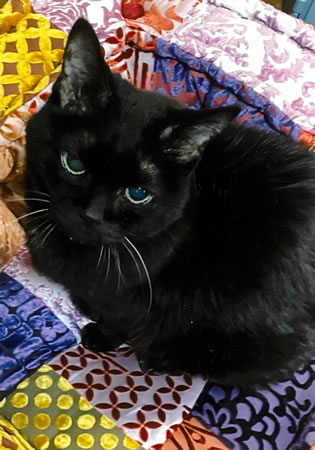 たま　[メス]　２２才