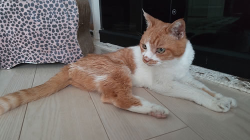 にこ　[メス]　２２才