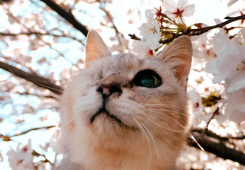 まみぃ　[メス]　２１才