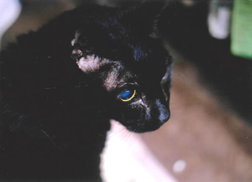 まる　[メス]　２１才