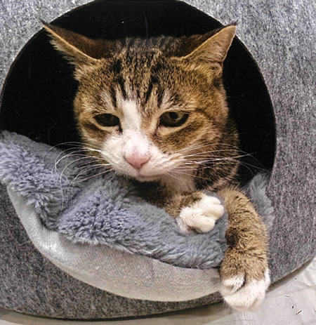 ななこ　[メス]　２１才