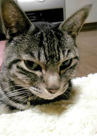 風太郎　[オス]　２１才