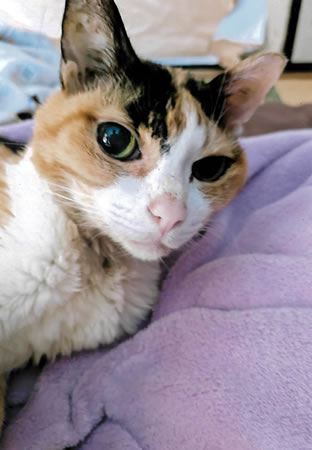 ちゃみ　[メス]　２１才