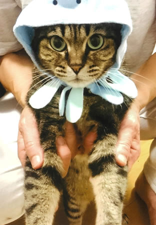 ラブ　[メス]　２０才