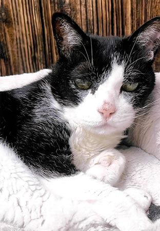 メロン　[メス]　２０才