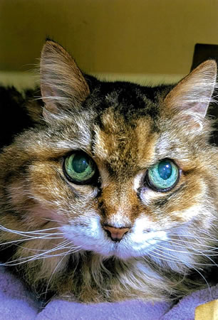 ちい　[メス]　２０才