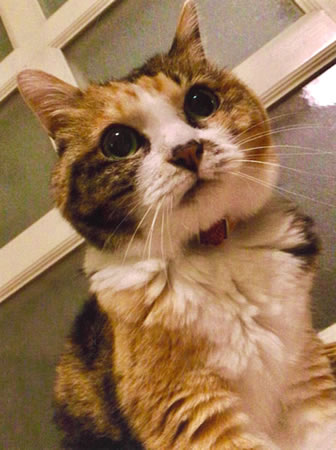 ミー　[メス]　２０才