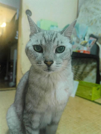 モカ　[オス]　２０才