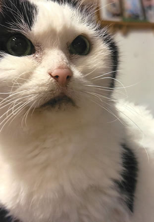 クウ　[オス]　２０才