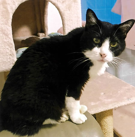 こちたん　[メス]　２０才