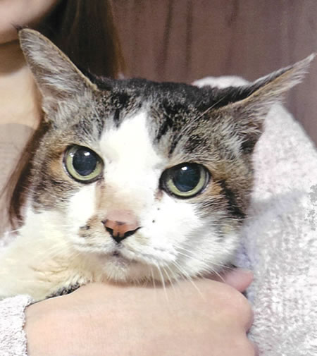 みみ　[メス]　２０才