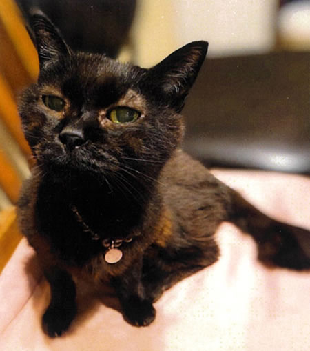 くるり　[メス]　２０才