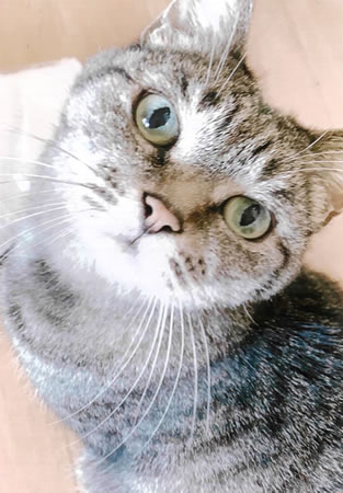 プチ　[メス]　２０才