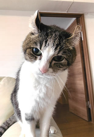 りょうすけ　[オス]　２０才