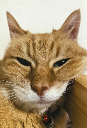 モカ　[オス]　２０才