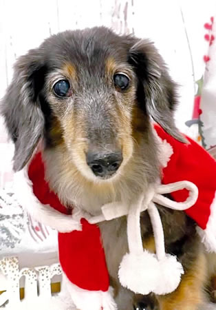 メル　 [メス]　２０才