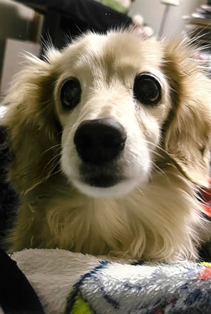 そら　[オス]　１９才