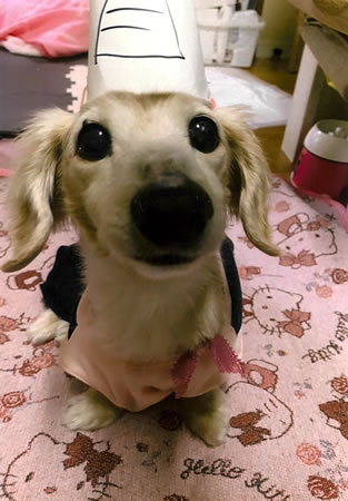 バリー　[オス]　１９才