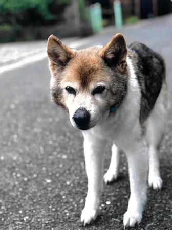 こはる　[メス]　１９才