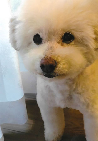 けんた　[オス]　１８才