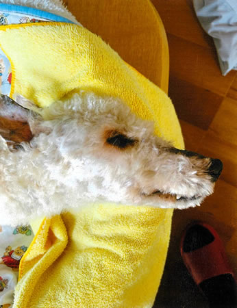 そら　[オス]　１８才