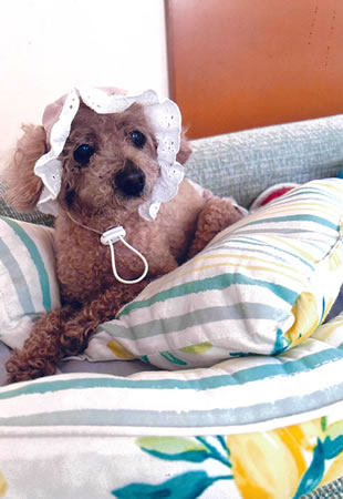 ピース　[メス]　１８才